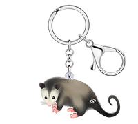 WEVENI Lindo llavero acrílico de zarigüeya, llavero divertido de rata, joyería para mujeres y niñas, bolsa de coche, cartera, accesorios, Zarigüeya E, 41mm x 40mm
