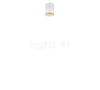 Wever & Ducré Ray mini 1.0, lámpara de techo LED, blanco mate/champán - 2.700 K