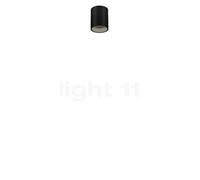 Wever & Ducré Ray mini 1.0, lámpara de techo LED, negro mate/bronce - 2.700 K