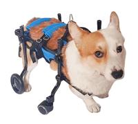 Weyot Silla de Ruedas for Perros pequeños, Carrito para Perros, Ayuda a Las Mascotas pequeñas con piernas paralizadas a recuperarse con Soporte completoBlue,M