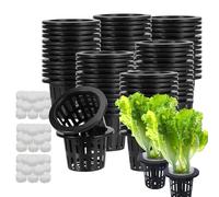 Wezalget Macetas de Malla | Suministros de Hidroponía,50 Unidades Macetas con Esponjas Cultivo Todo el Año Urbano Cultivo en Apartamento Lechuga Tomate