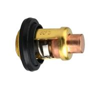 WeZcHEN Termostato 66M-12411-00 for Motor fueraborda Ymh de 4 Tiempos F 40 50 60 80 100 HP 66M-12411-01 66M-12411