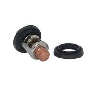 WeZcHEN Termostato del Sistema de enfriamiento del Conjunto del Motor Fuera de borda 140 ℉ / 60 ℃ Apto for Hon 8 9.9 15 20 25 30 40 50 60 75 90 100 200 225 HP