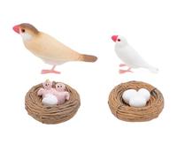 WFNIHONHON 4 PCS Finch Pird Life Cycle Figuras para niños PVC Juguetes de Ciclo de Crecimiento Animal Realista Realista