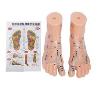 WFNIHONHON Modelo de acupuntura del cuerpo humano, para aprendizaje médico, material de PVC tallado a mano, ubicación precisa del punto de acupuntura, diseño de proporción