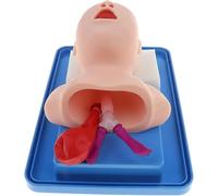 WFUAHA Modelo De Intubación Tráqueal Neonatal, Entrenador De Intubación Infantil, Modelo Extraíble De Intubación De Vías Respiratorias Tráqueas Humanas, para La Práctica Escolar del Hospital