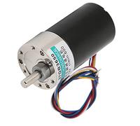 WGFOIP Motor DC sin Escobillas con Alta Torsión, 24 V (50 rpm/min)