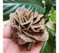 WGPHD Meditación Home Natural Desert Rose Piedra Cruda Cristal Energía Casa Oficina Mineral Espécimen Regalo (Tamaño: 310-350g)