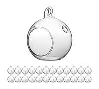 WGV - Paquete de 24 terrarios colgantes de cristal de 2.36 pulgadas (con paño de vidrio WGV)