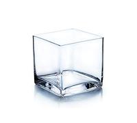 WGVI Glass Cube Vase Jarrón de Cristal, 12,7 cm