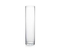 WGVI WGV Transparente Cilindro jarrón de Cristal, 4 por 16