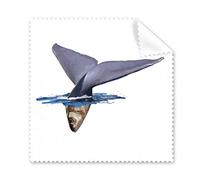 Whale Caudal Aleta Subacuática Paño de limpieza Teléfono Pantalla Gafas Limpiador 5pcs