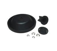 Whale Nuevo 2024 - Ser Kit Gusher Urchin Nit