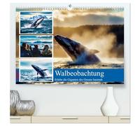 Whale Watching (hochwertiger Premium Wandkalender 2027 DIN A2 quer), Kunstdruck in Hochglanz: Erlebe die faszinierende Welt der Ozeanriesen aus ... Umgebung, begleitet von erfahrenen Guides.