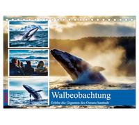Whale Watching (Tischkalender 2027 DIN A5 quer), CALVENDO Monatskalender: Erlebe die faszinierende Welt der Ozeanriesen aus nächster Nähe. Auf einer ... Umgebung, begleitet von erfahrenen Guides.