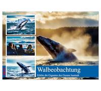 Whale Watching (Wandkalender 2027 DIN A2 quer), CALVENDO Monatskalender: Erlebe die faszinierende Welt der Ozeanriesen aus nächster Nähe. Auf einer ... Umgebung, begleitet von erfahrenen Guides.