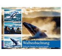 Whale Watching (Wandkalender 2027 DIN A3 quer), CALVENDO Monatskalender: Erlebe die faszinierende Welt der Ozeanriesen aus nächster Nähe. Auf einer ... Umgebung, begleitet von erfahrenen Guides.