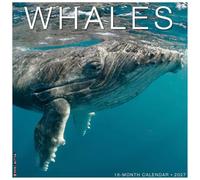 Whales 2027 Wall