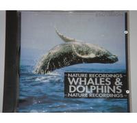 Whales & Dolphins