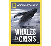 Whales in Crisis [Reino Unido] [DVD]