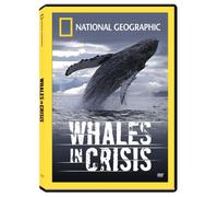 Whales in Crisis [USA] [DVD]