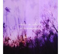 Whales In Cubicles - Death In The Evening