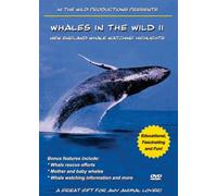 Whales in the Wild 2-New Engla [Alemania] [DVD]