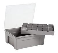 WHAM 5.04.01 - Caja Almacenaje, Caja Organizadora de Plástico (38 cm, bandeja de 19 división), color gris