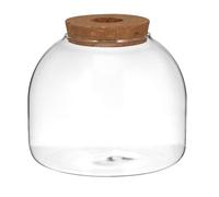 WHAMVOX Terrario de Vidrio Pequeño con Tapa de Vidrio para Plantas Hidropónicas y Base de Madera con Estilo Natural Adecuado para Decorar Dormitorios y Jardines