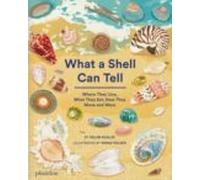 What a Shell Can Tell (CHILDRENS BOOKS)