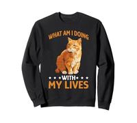 What Am I Doing with My Lives Sarcastic Cat Puns - Sudadera