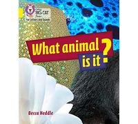 What Animal is It?: Band 03/Yellow (Collins Big Cat Phonics for Letters and Sounds)