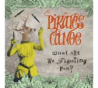 What Are We Fighting For?