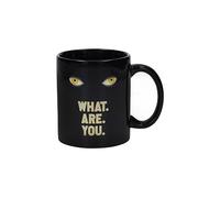 What are you taza welcome to derry it