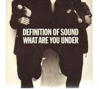 Definition Of Sound - WHAT ARE YOU UNDER 12 inch (12" Vinyl) UK CIRCA 1992