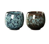 What Came Before (Limited Edition)