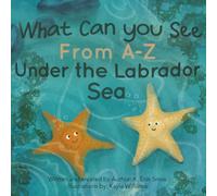 What can you see from A-Z under the Labrador Sea?