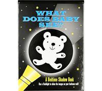 What Does Baby See? Bedtime Shadow Book