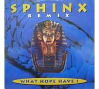 What hope have I (Remix, UK, 1995) / Vinyl Maxi Single [Vinyl 12'']