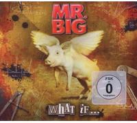 What If... [CD/DVD Combo] by Mr Big (2011-02-15)