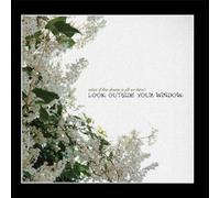 What If This Dream Is All We Have? - Look Outside Your Window