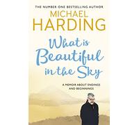 What is Beautiful in the Sky: A book about endings and beginnings