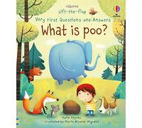 What is Poo? (Very First Lift-the-Flap Questions and Answers) (Very First Lift-the-Flap Questions & Answers): 1 (Very First Questions and Answers)