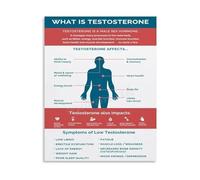 What Is Testosterone Canvas Painting Educational Wall Art Poster Science Diagram for Bedroom Living Room Home Decor(Unframed,12x18inch(30x45cm))