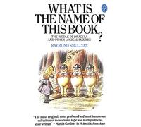 What is the Name of This Book?: The Riddle of Dracula And Other Logical Puzzles (Pelican S.)