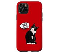 What is Wrong with You? Cat Funny Humor Carcasa para iPhone 11 Pro