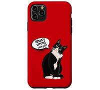 What is Wrong with You? Cat Funny Humor Carcasa para iPhone 11 Pro MAX