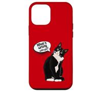 What is Wrong with You? Cat Funny Humor Carcasa para iPhone 12 Mini