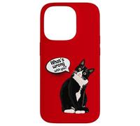 What is Wrong with You? Cat Funny Humor Carcasa para iPhone 14 Pro