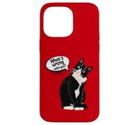 What is Wrong with You? Cat Funny Humor Carcasa para iPhone 14 Pro MAX